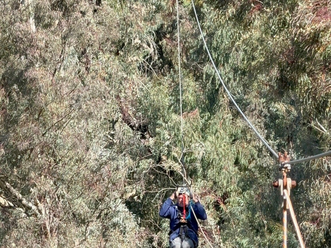 All Out Adventures-柏维必去景点