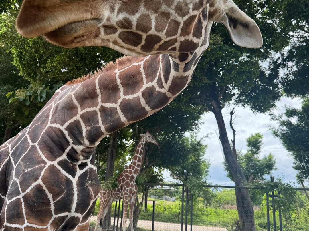 Legend Costa Rica-圣何塞必去景点
