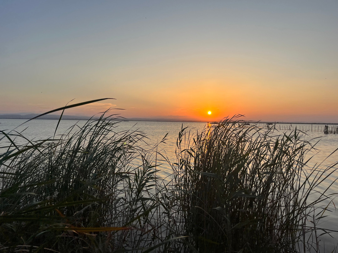 Visit Albufera-巴伦西亚必去景点