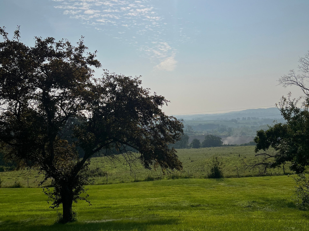 The View Motel主图