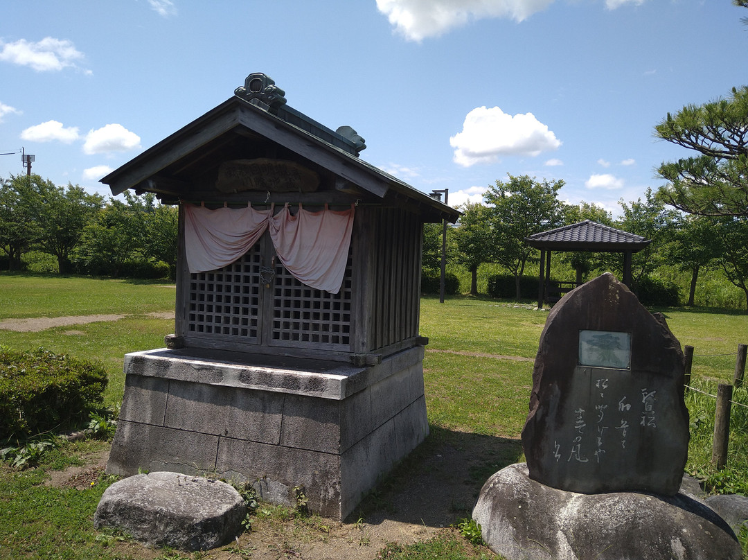 Asagao no Matsu Park-岛田市必去景点