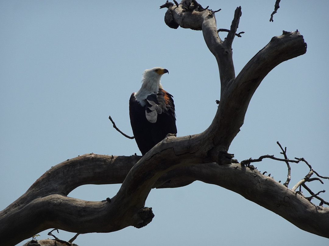 Murchison Falls-Murchison Falls National Park必去景点