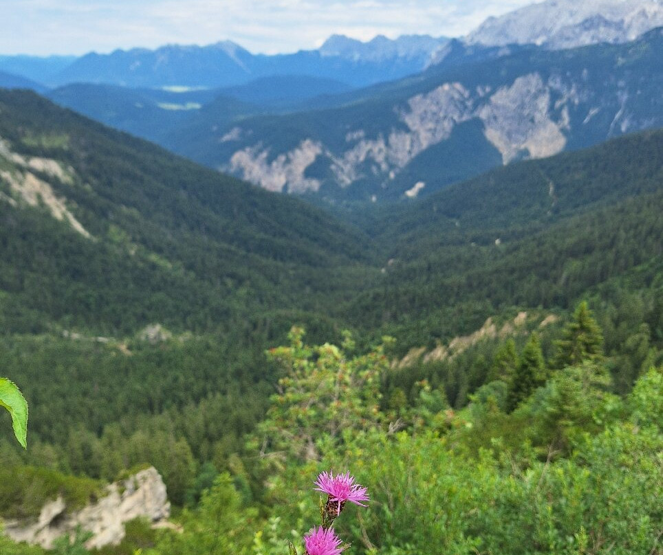 Alpspitze-加米许-帕坦克辛必去景点