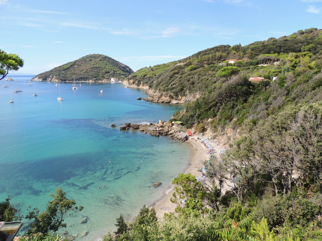 Hotel Viticcio主图