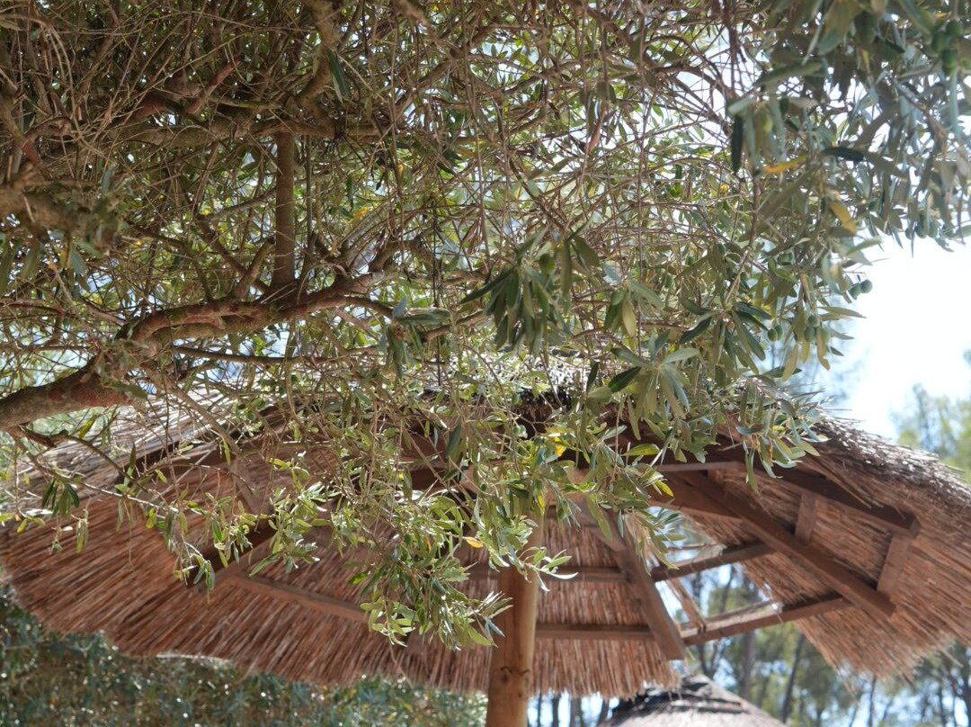 La Maison du Castellet主图