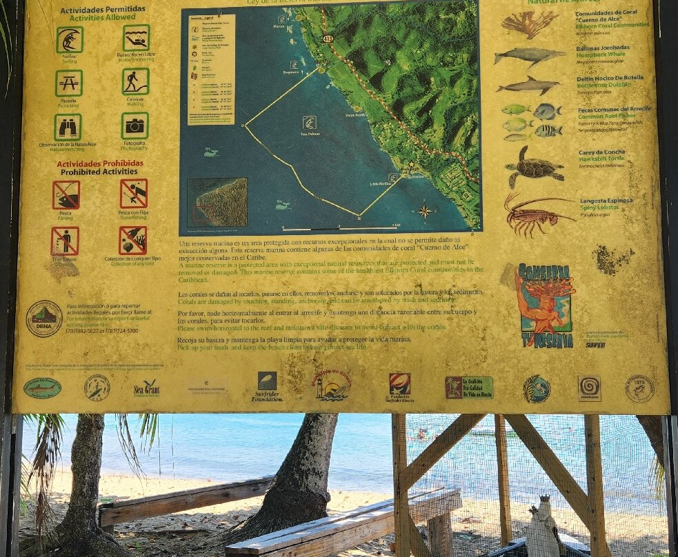 Rincon Marina-吕康必去景点