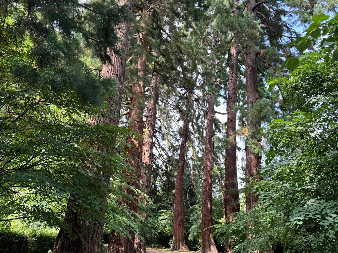 Sunnycroft-Wellington必去景点