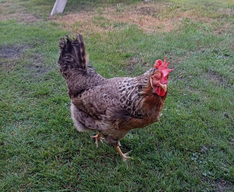 Homeside B&B Silverstone主图