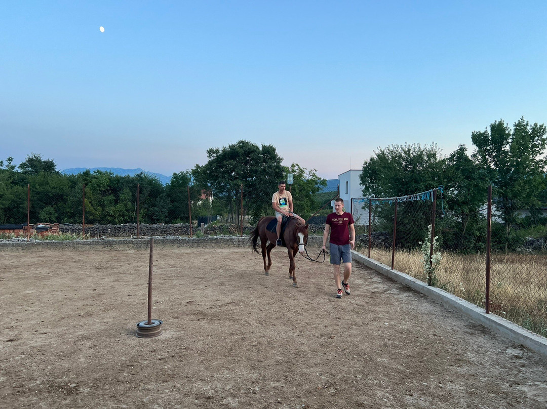 Horse and wine tours-Sinj必去景点