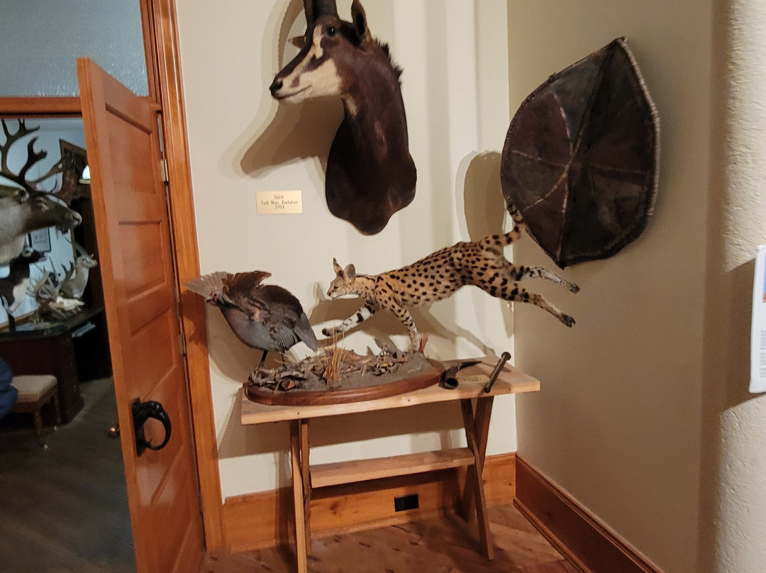 Bear-Ology-Plymouth必去景点