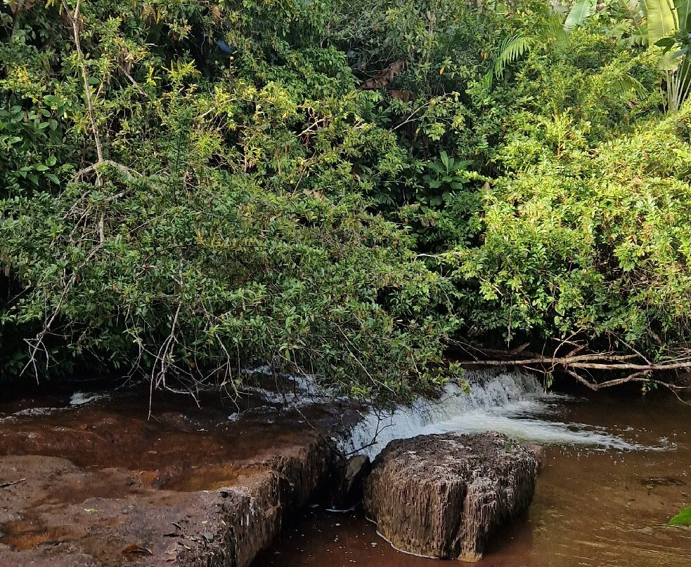El Paraíso Travels-San Jose del Guaviare必去景点