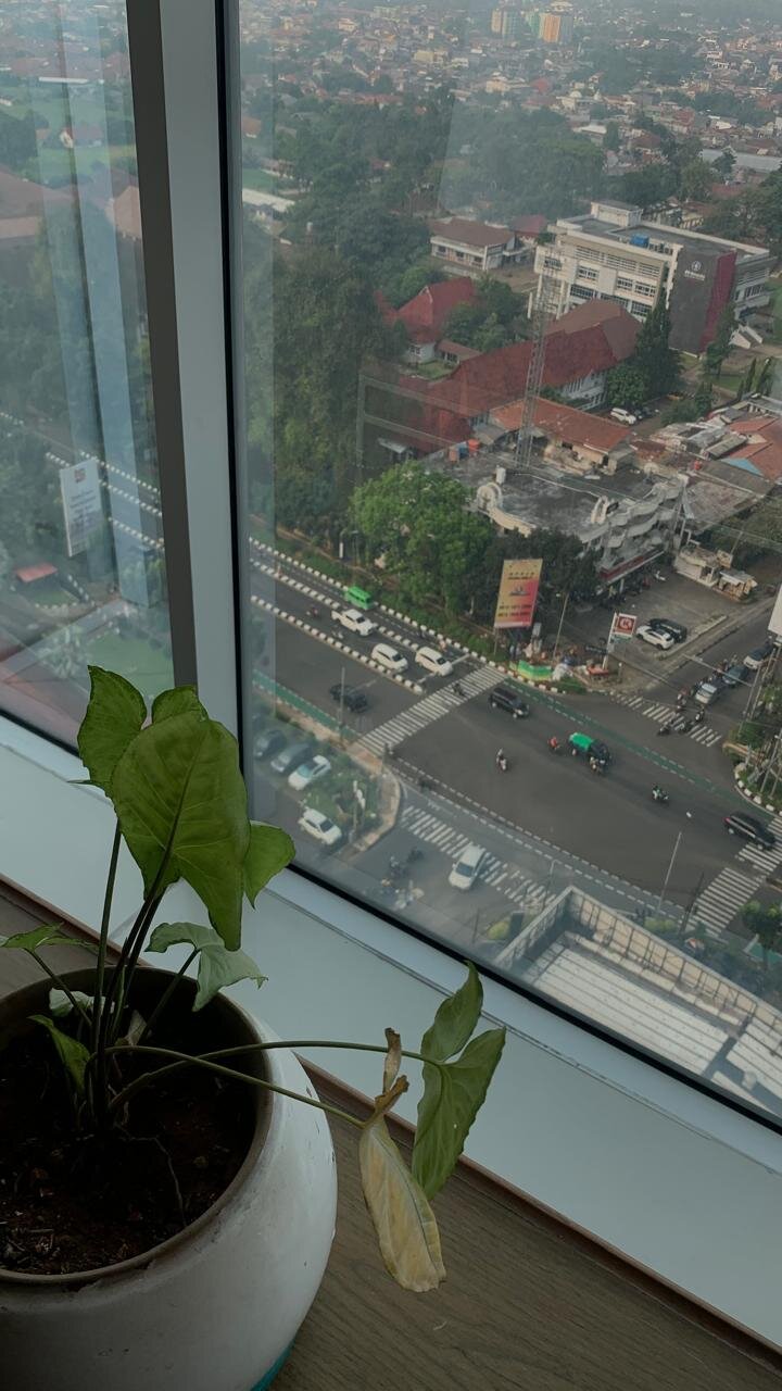 Swiss-belcourt Bogor-官方