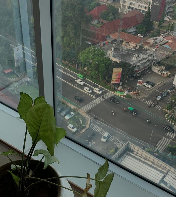 Swiss-belcourt Bogor主图