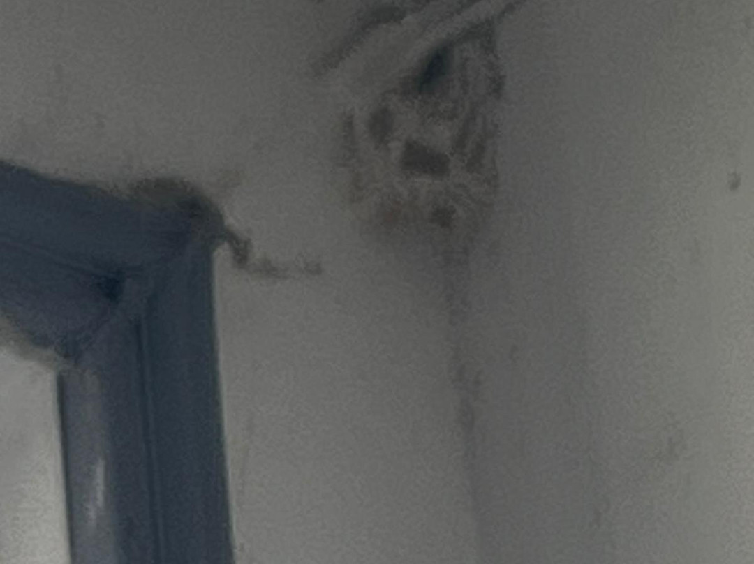 Hotel ChiemseePanorama主图