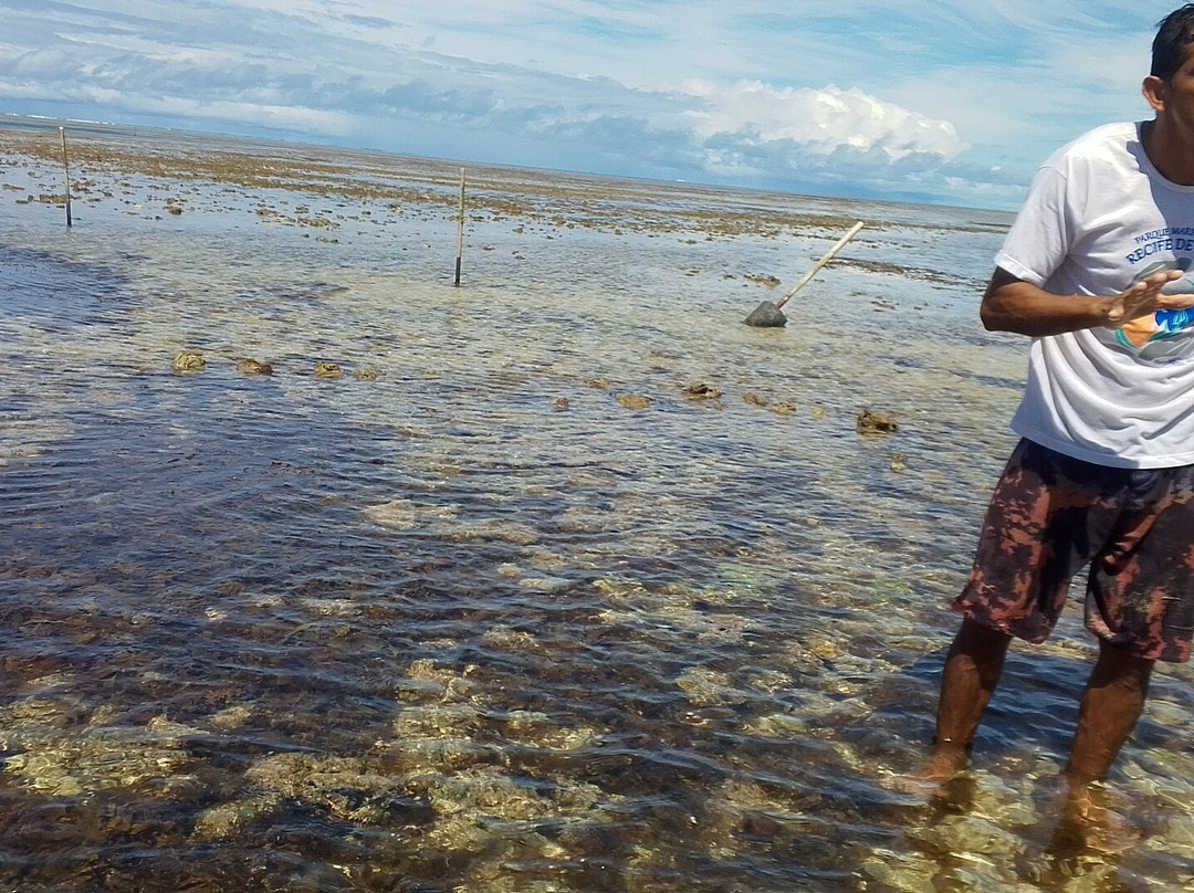 Pataxo Turismo-Porto Seguro必去景点