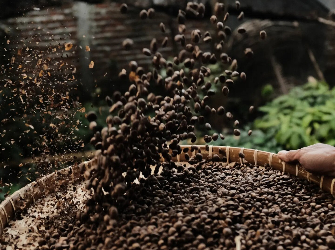 Micofam Lombok Coffee-Sapit必去景点
