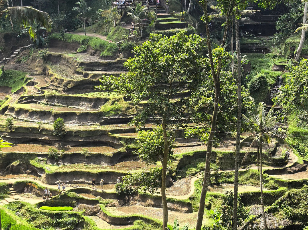 oni soekotjo bromoindonesia.id-玛琅必去景点