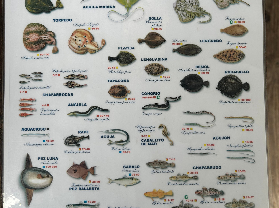 Buceo Pedreña-Pedrena必去景点