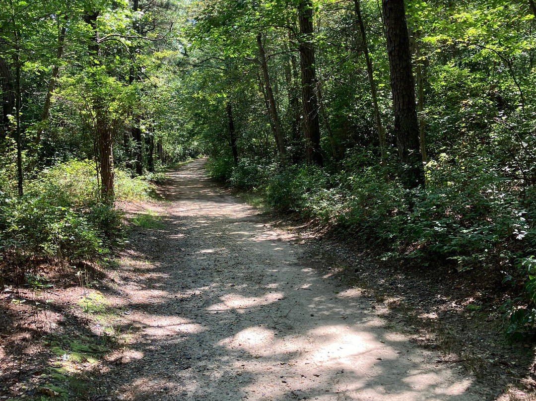 Shark River Park-Wall Township必去景点