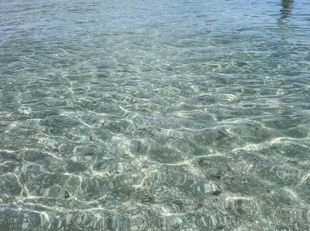 Plage de Ty Bihan-卡纳克必去景点