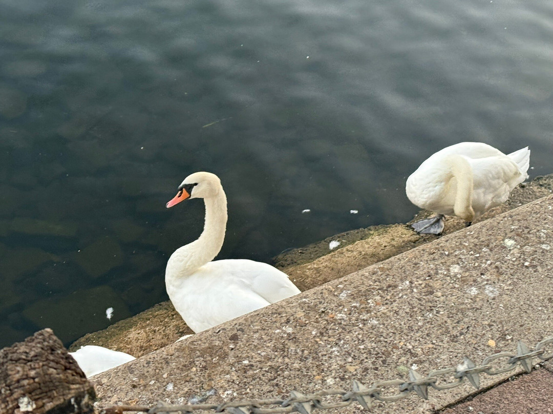 PeterboroughTown Centre-彼得伯勒必去景点