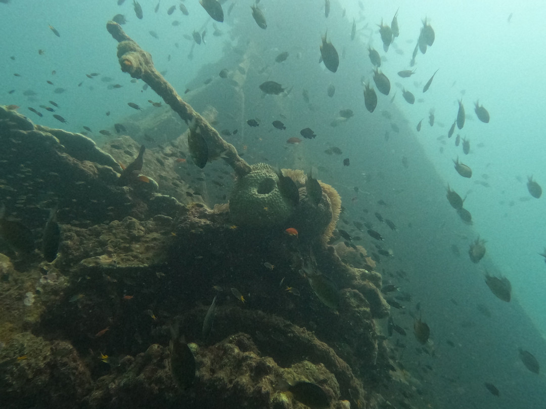 Turquoise Dream | PADI Dive Centre-Neil Island必去景点