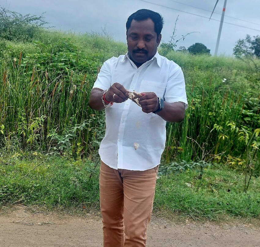 Suryatrips-Vizhinjam必去景点