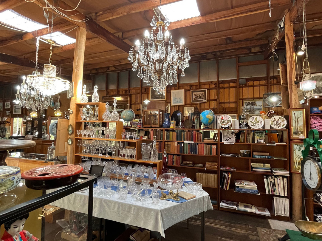 The Shop in the Bush-圣海伦火山必去景点