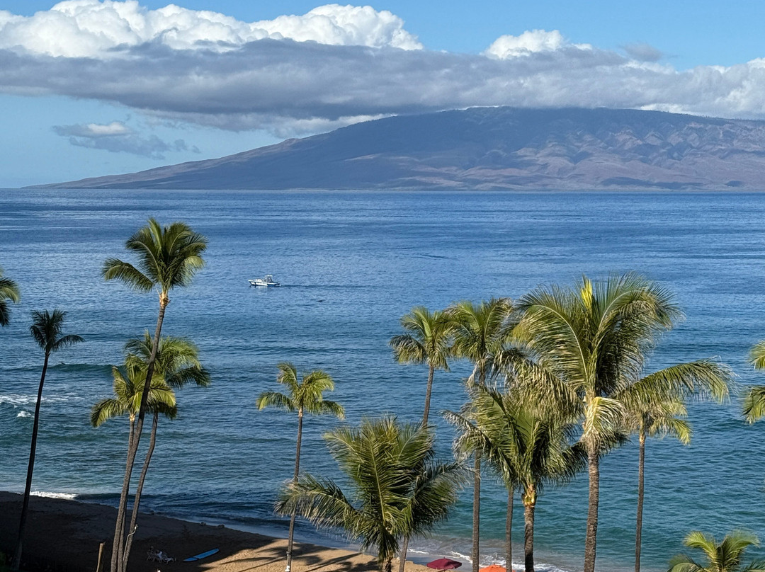 卡纳帕里阿丽酒店主图