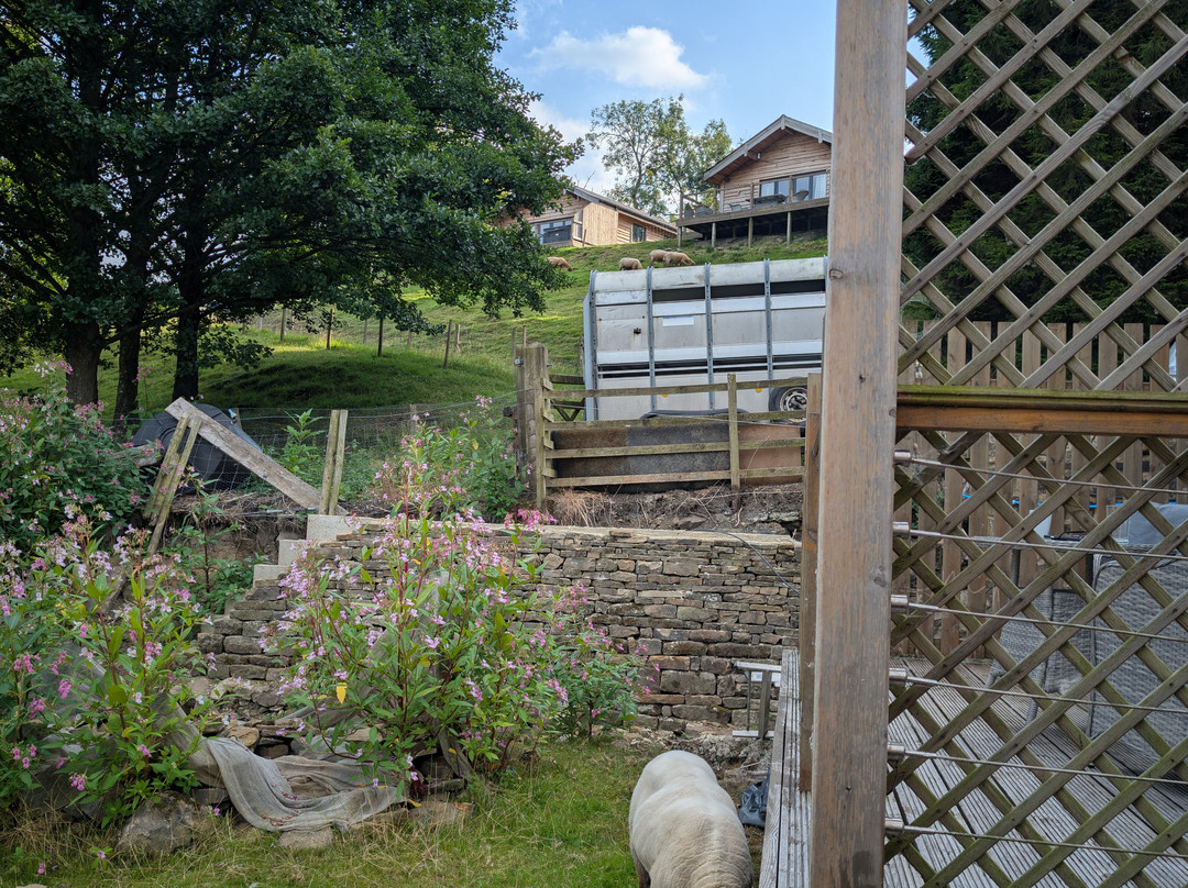 Throstle Nest Farm Bed and Breakfast主图