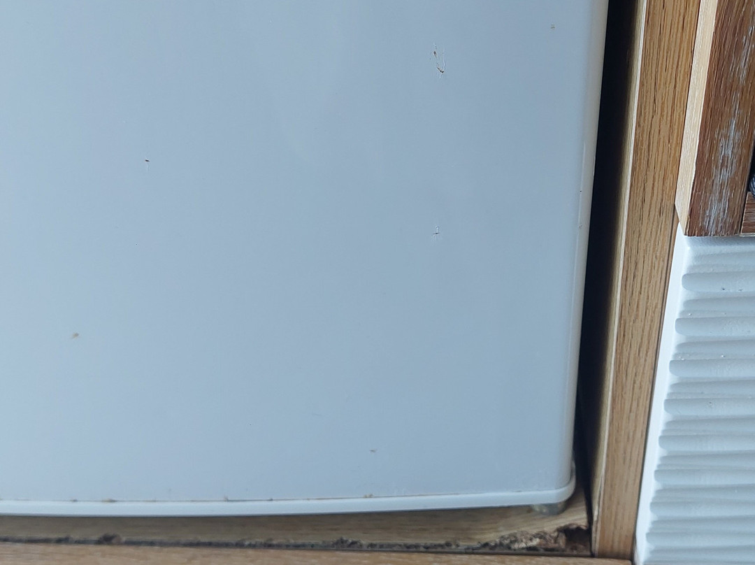 Hotel Golden Sun主图