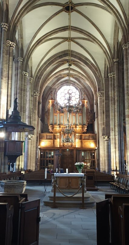 Église Saint-Thomas-斯特拉斯堡必去景点