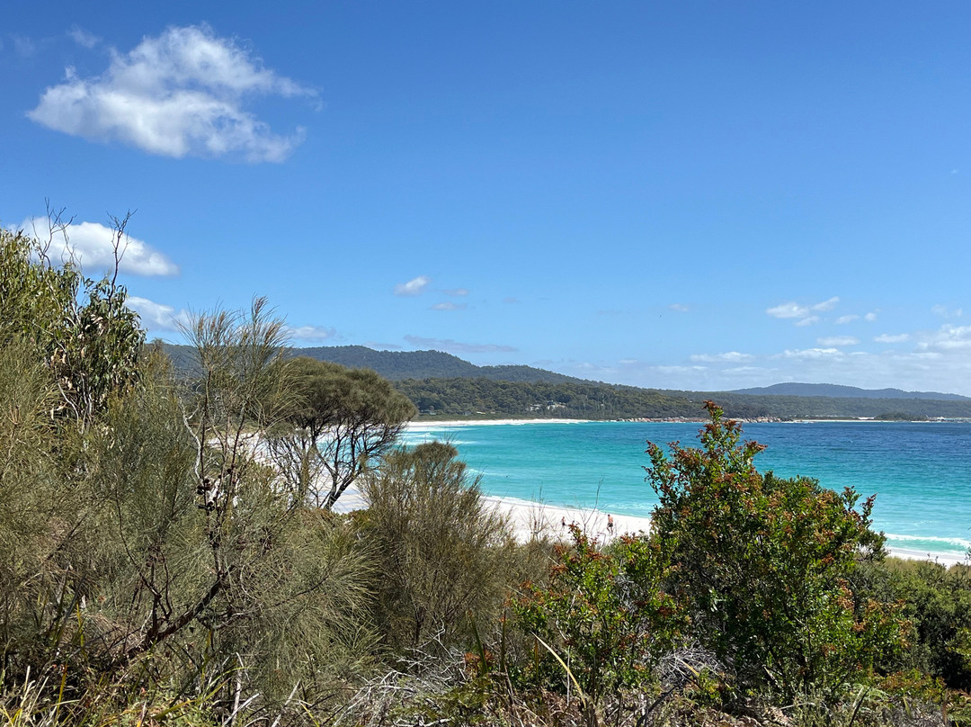 火焰湾-威廉山国家公园必去景点