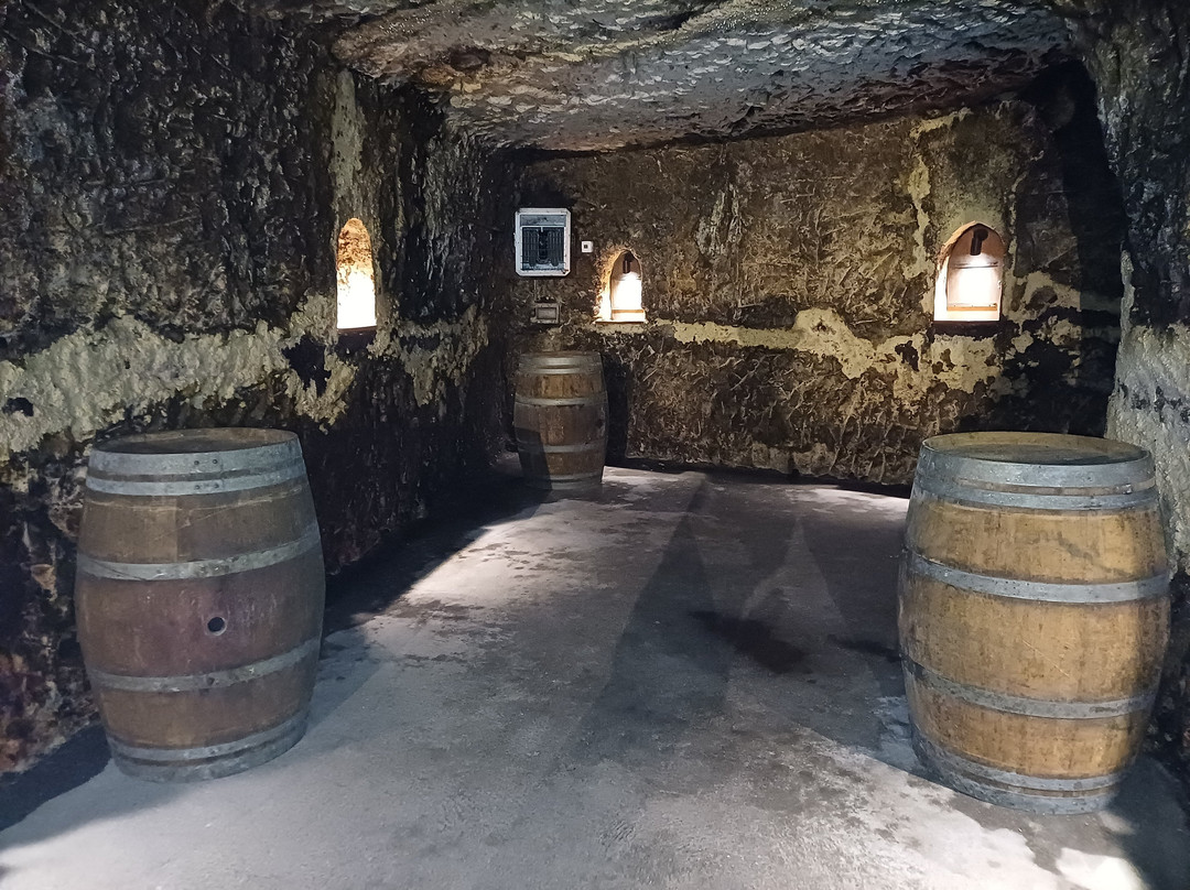 Domaine de la Perruche-Montsoreau必去景点