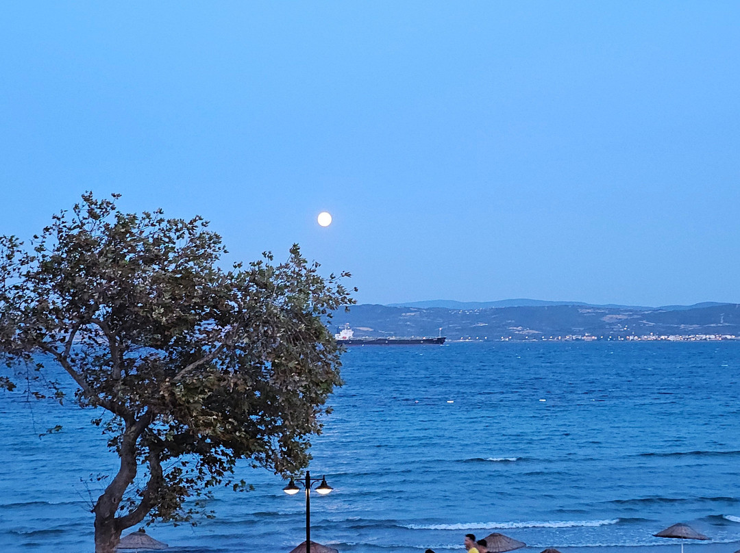 Hamzakoy Blue Park Boutique Hotel主图