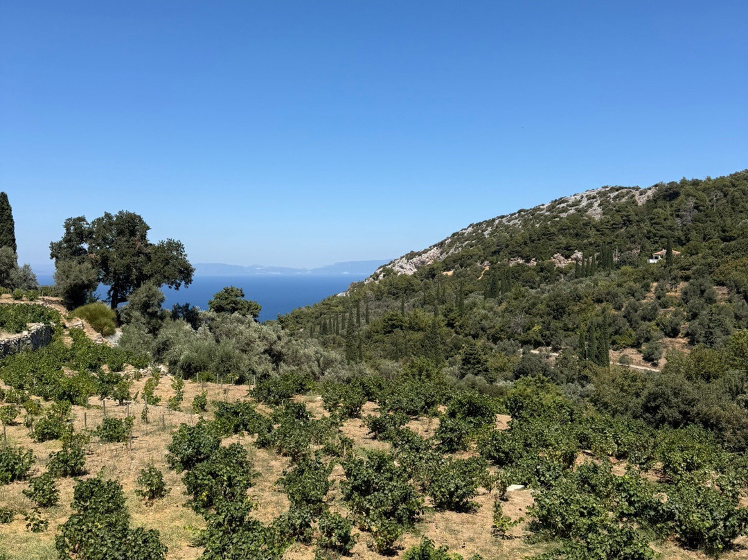 Metaxa Liknon-Vourliotes必去景点