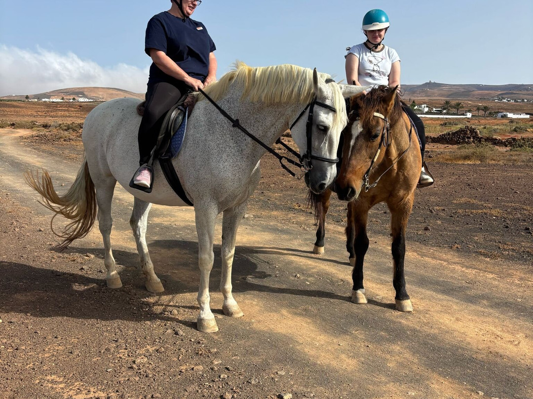Horses Lanzarote-Teseguite必去景点