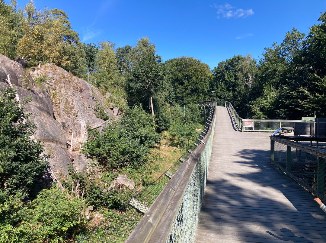 Nordens Ark-Hunnebostrand必去景点