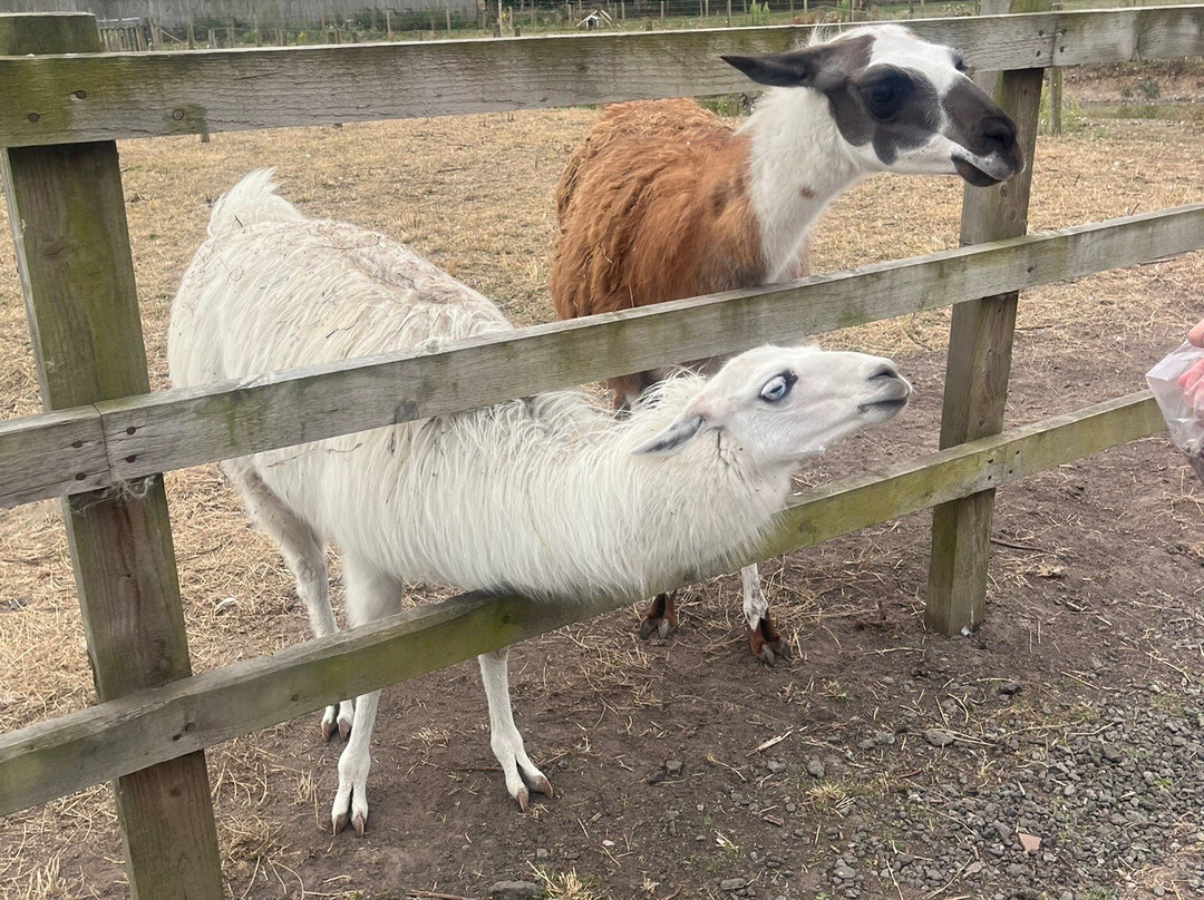 Grange Farm-Lowton必去景点