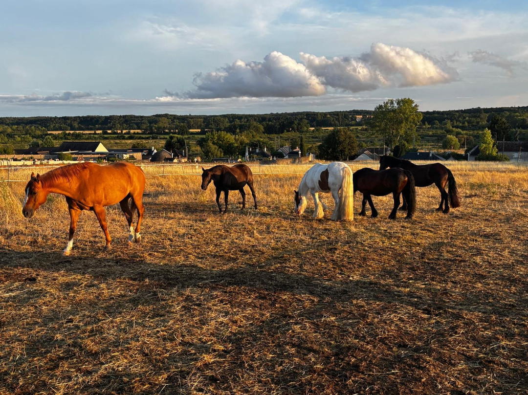 Horse Journey-Saint-Martin-le-Beau必去景点