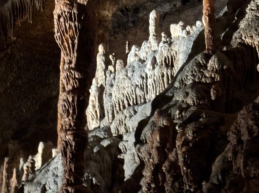 Blanchard Springs Caverns-Fifty Six必去景点