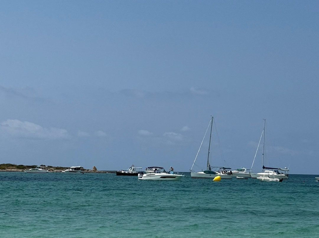 Platja D'es Carbo-Colonia de Sant Jordi必去景点