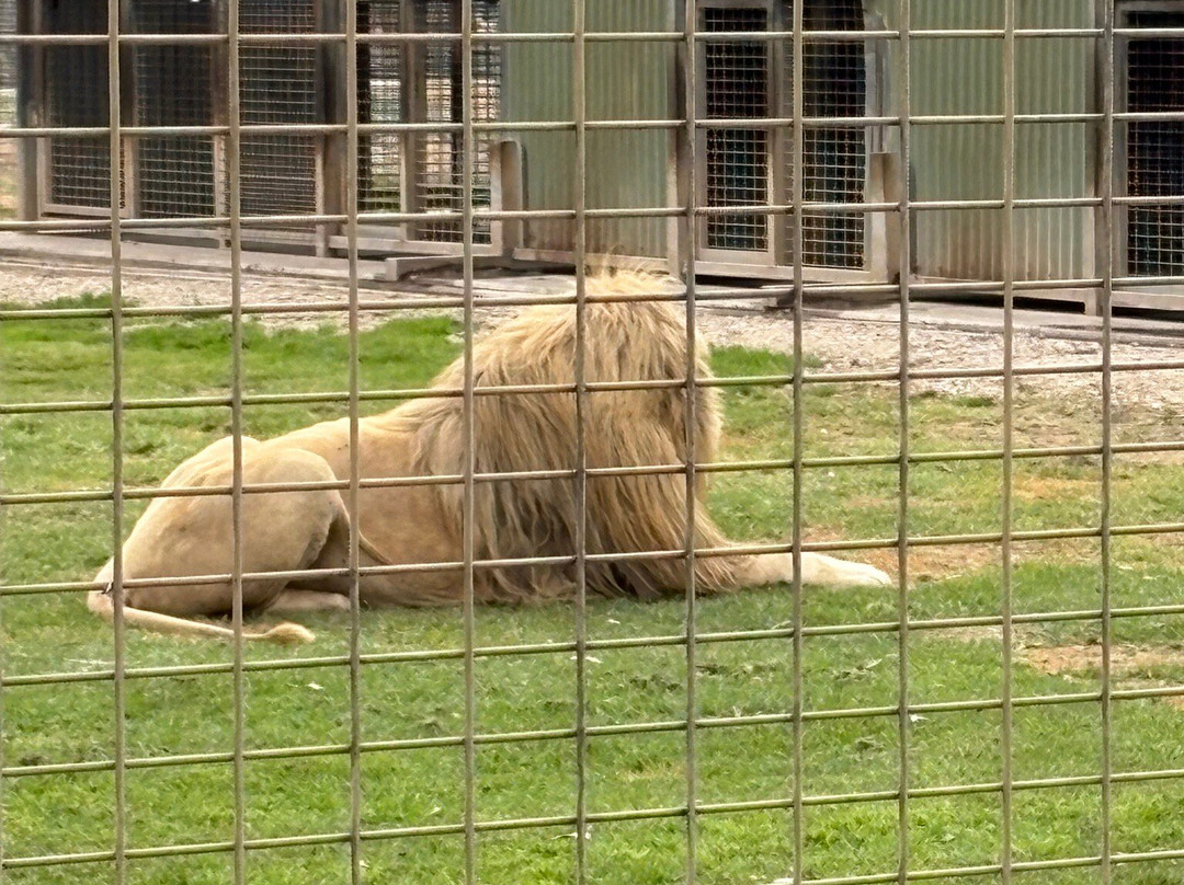 Altina Wildlife Park-Darlington Point必去景点