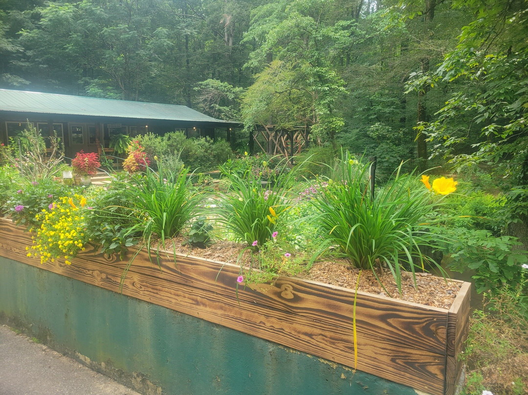 Natural Bridge Park-Natural Bridge必去景点