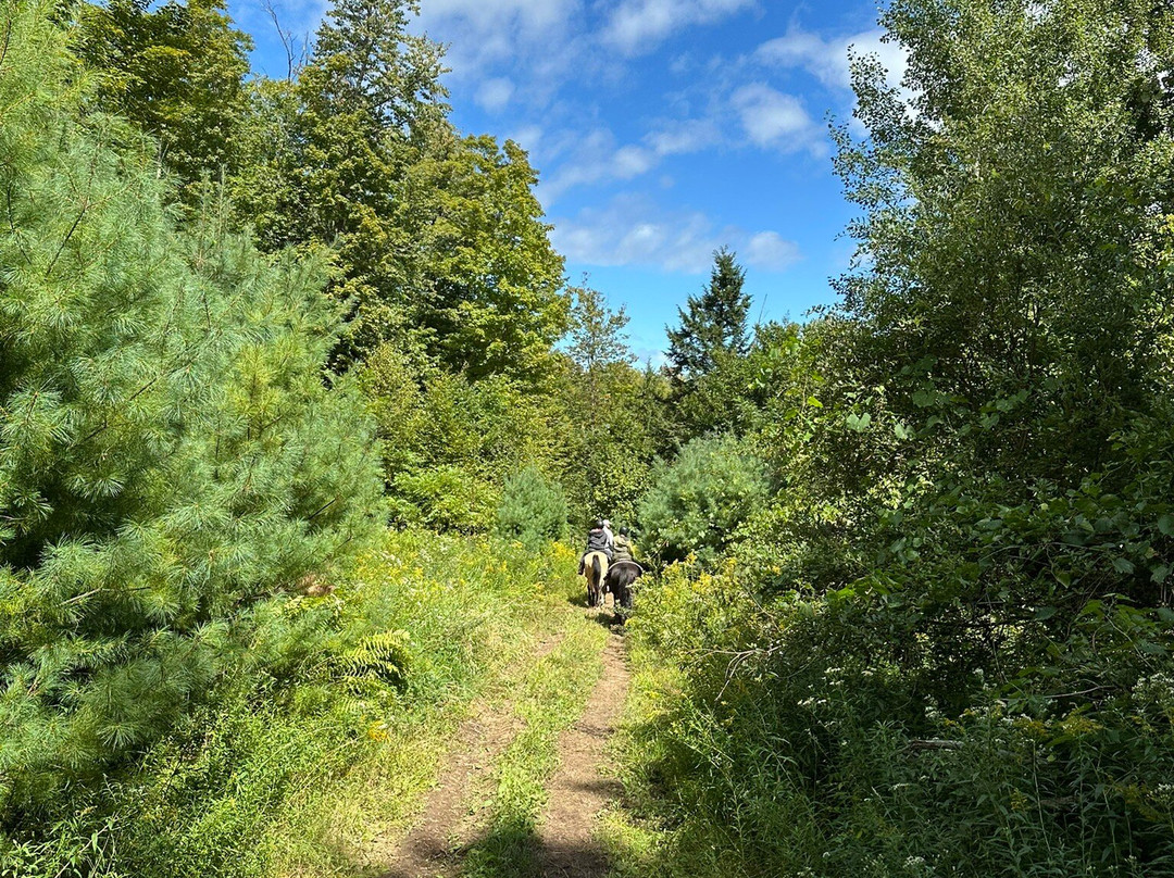 Circle B Ranch-Chestertown必去景点