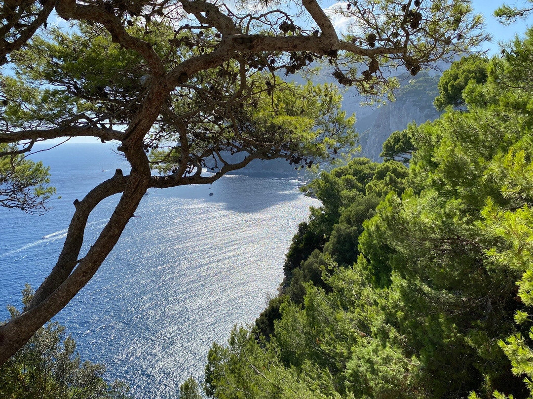 Belvedere di Tragara-卡碧岛必去景点
