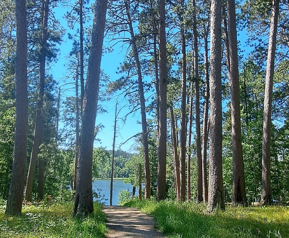 Preacher's Grove-Lake Itasca必去景点