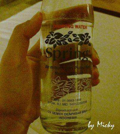 索尼娅乌布别墅酒店主图