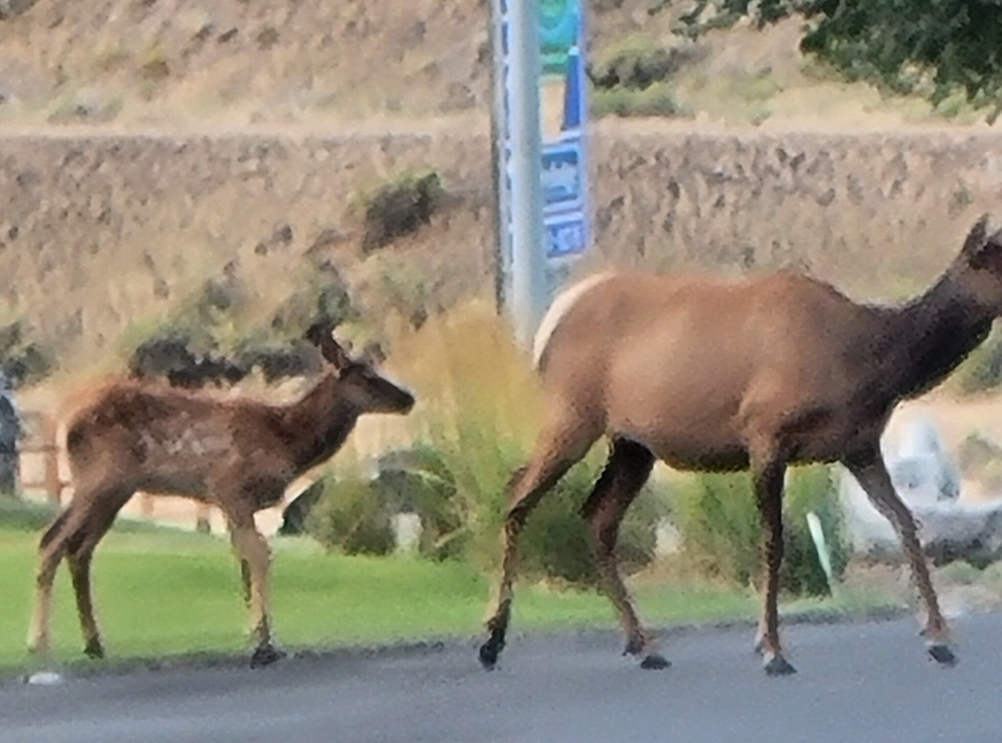黄石村酒店-酒店景观