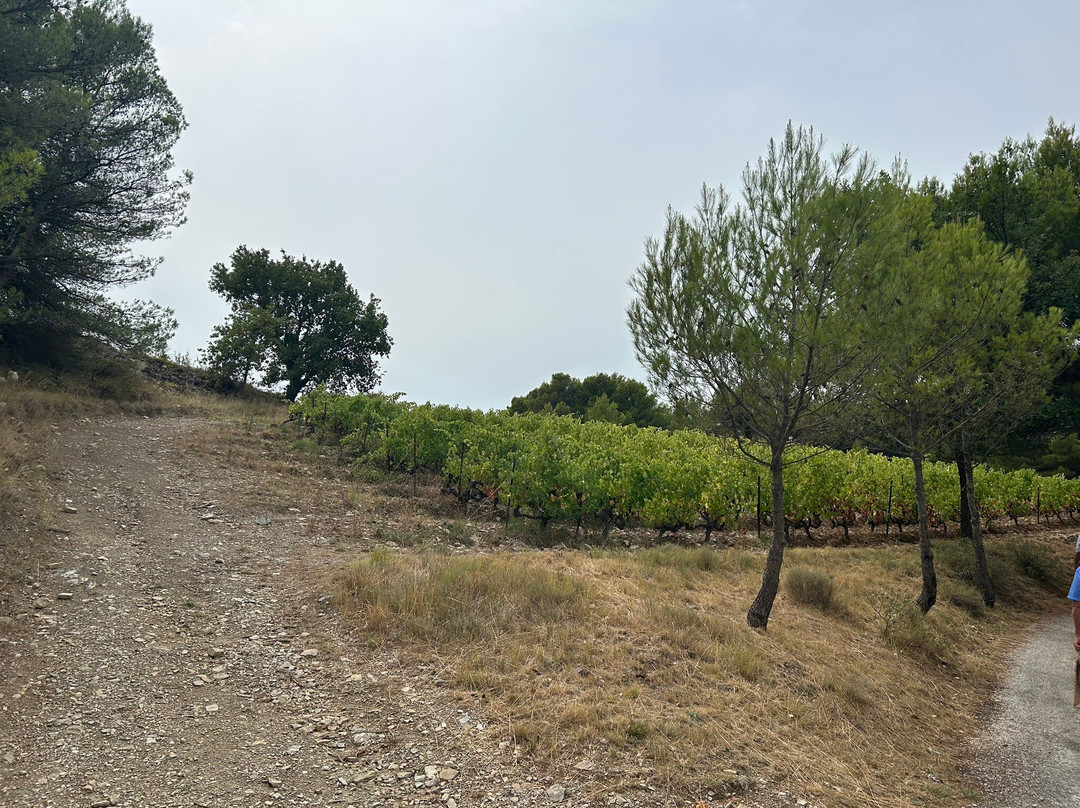 Domaine de Mourchon-Seguret必去景点